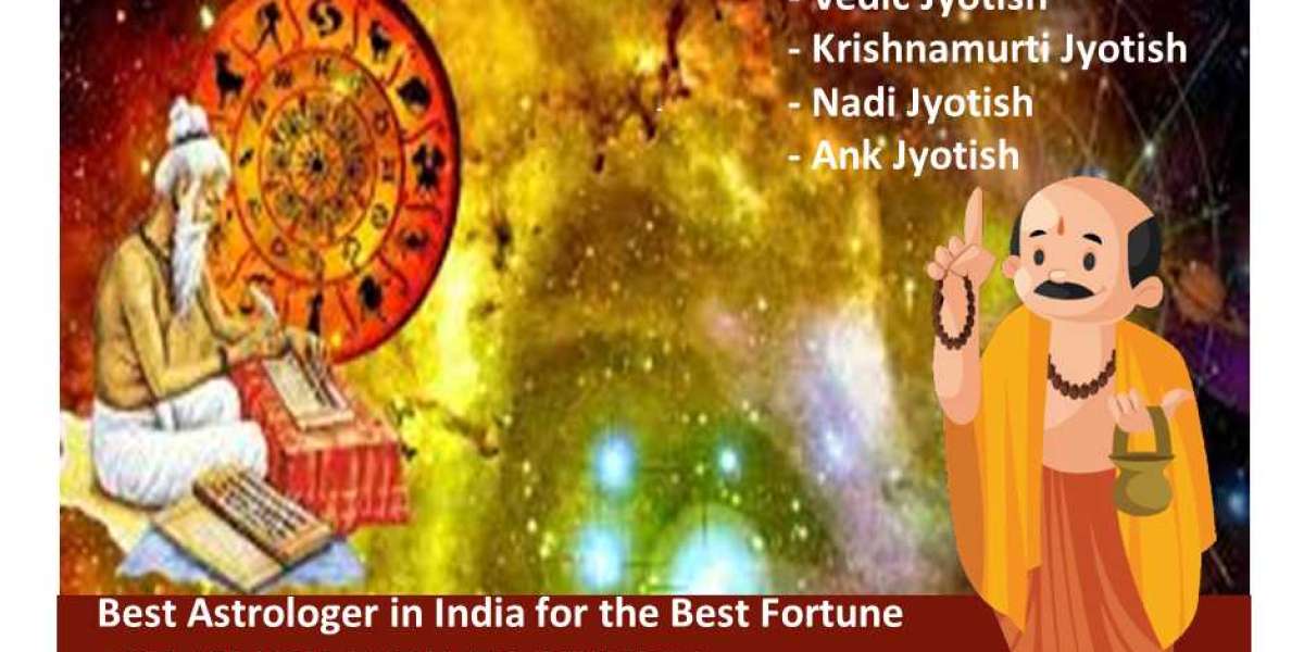 Top astrologer in Delhi