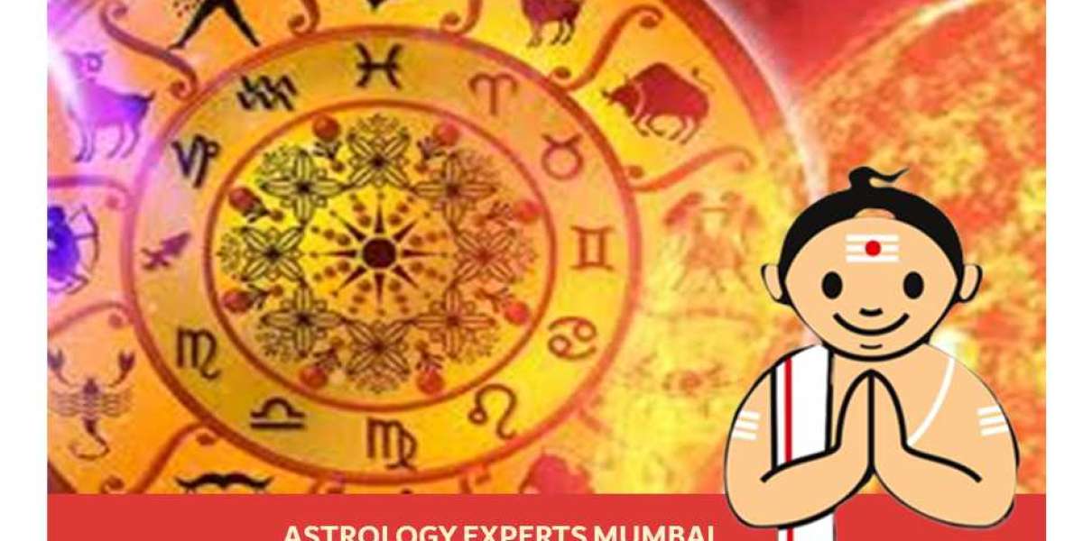 Top career astrologer in mumbai