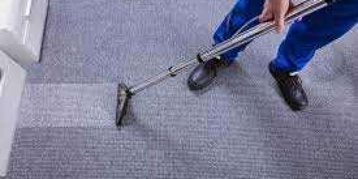 Discover the Difference of Professional Carpet Cleaning Services
