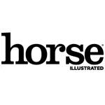 Horse Illustrated Profile Picture