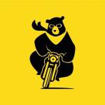 Bike Bear profile picture