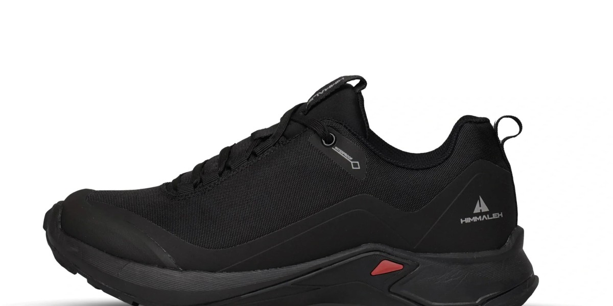 Comparing Heavy Boots vs. Lightweight Hiking Shoe for Long Hikes